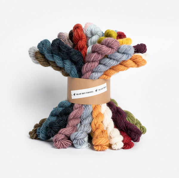 A bundle of multicolor yarn skeins wrapped in a brown paper band labeled 'BLUE Sky Fibers, photographed on a clean white background.