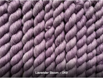 Lavender Bloom